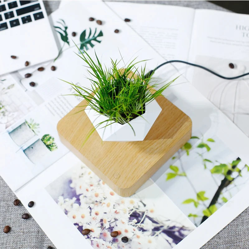 CLevitating Pot RotationMagnetic Suspension Floating Pot Potted Plant