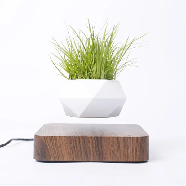 CLevitating Pot RotationMagnetic Suspension Floating Pot Potted Plant