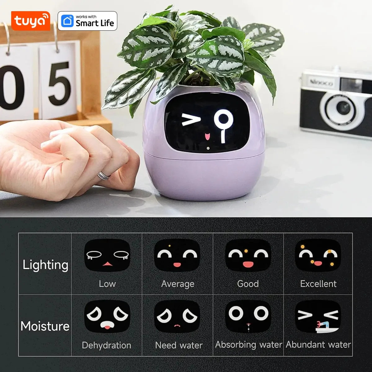 kuya Ivy Smart Planter,Endless Fun Over 49 Rich Expressions,7 smart sensors