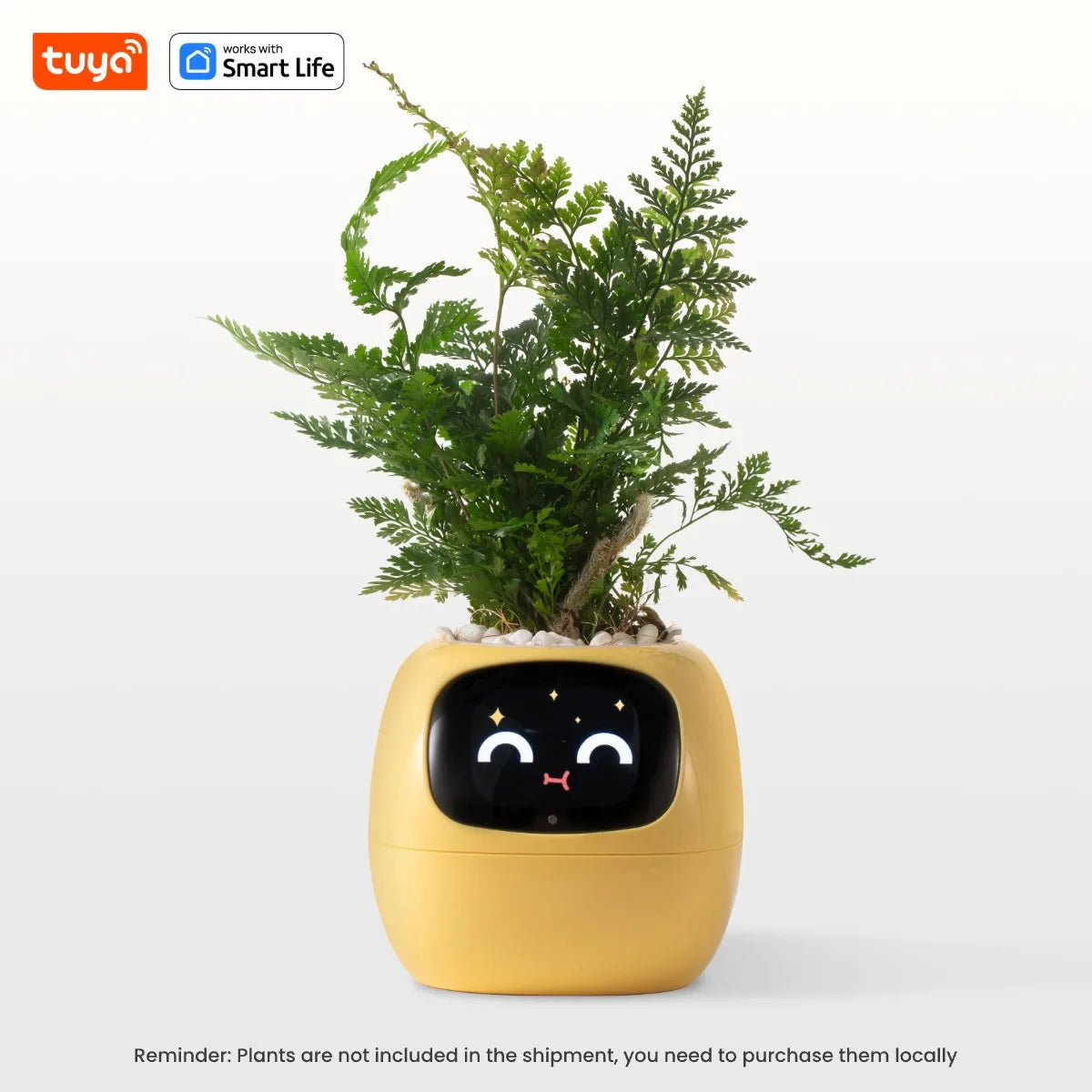 kuya Ivy Smart Planter,Endless Fun Over 49 Rich Expressions,7 smart sensors