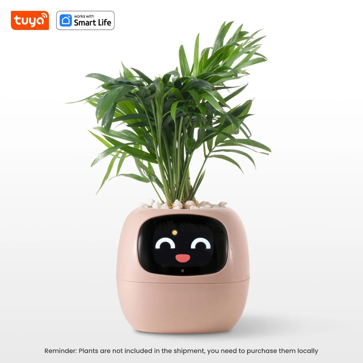 kuya Ivy Smart Planter,Endless Fun Over 49 Rich Expressions,7 smart sensors