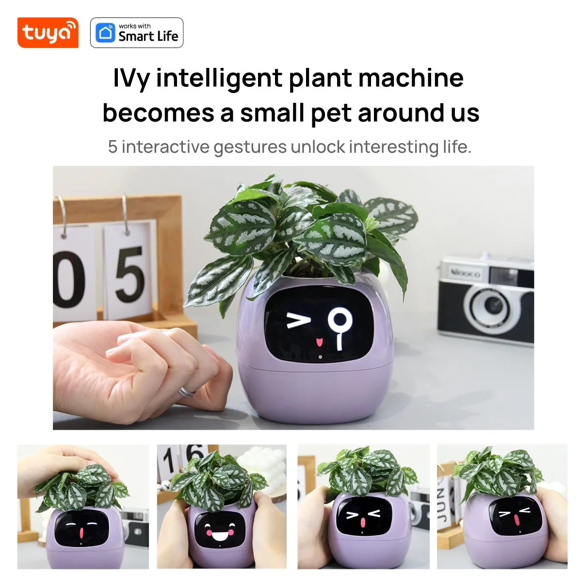 kuya Ivy Smart Planter,Endless Fun Over 49 Rich Expressions,7 smart sensors