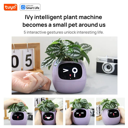 kuya Ivy Smart Planter,Endless Fun Over 49 Rich Expressions,7 smart sensors
