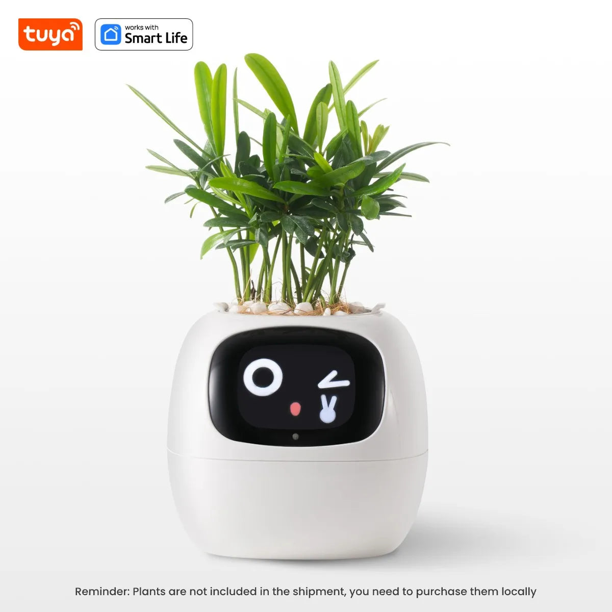 kuya Ivy Smart Planter,Endless Fun Over 49 Rich Expressions,7 smart sensors