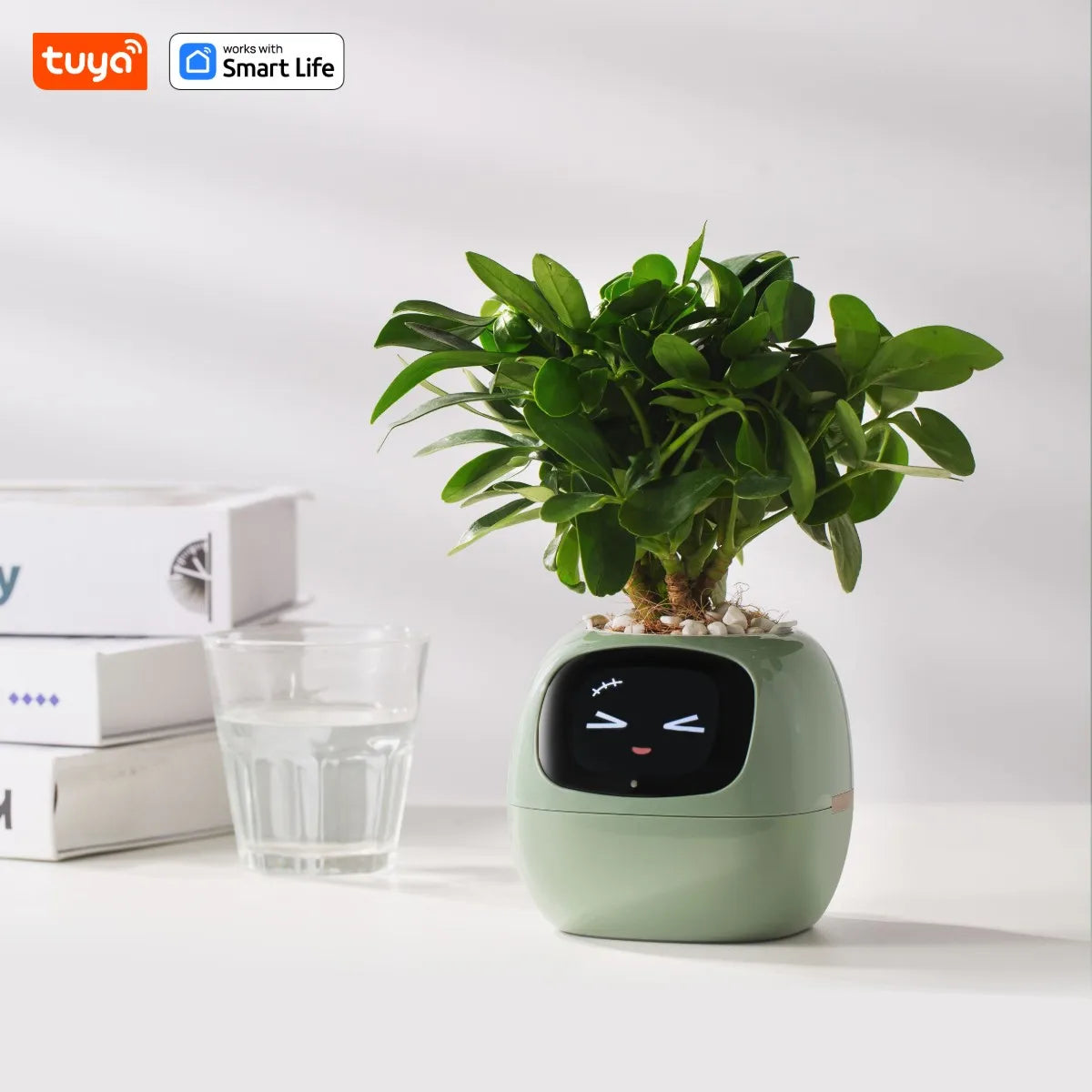 kuya Ivy Smart Planter,Endless Fun Over 49 Rich Expressions,7 smart sensors