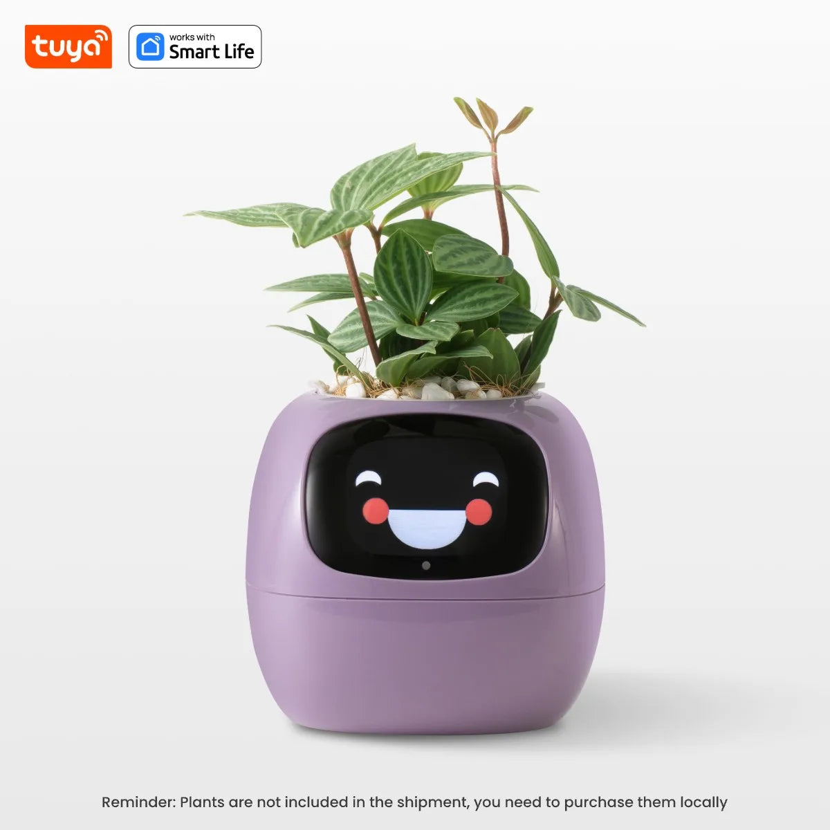 kuya Ivy Smart Planter,Endless Fun Over 49 Rich Expressions,7 smart sensors