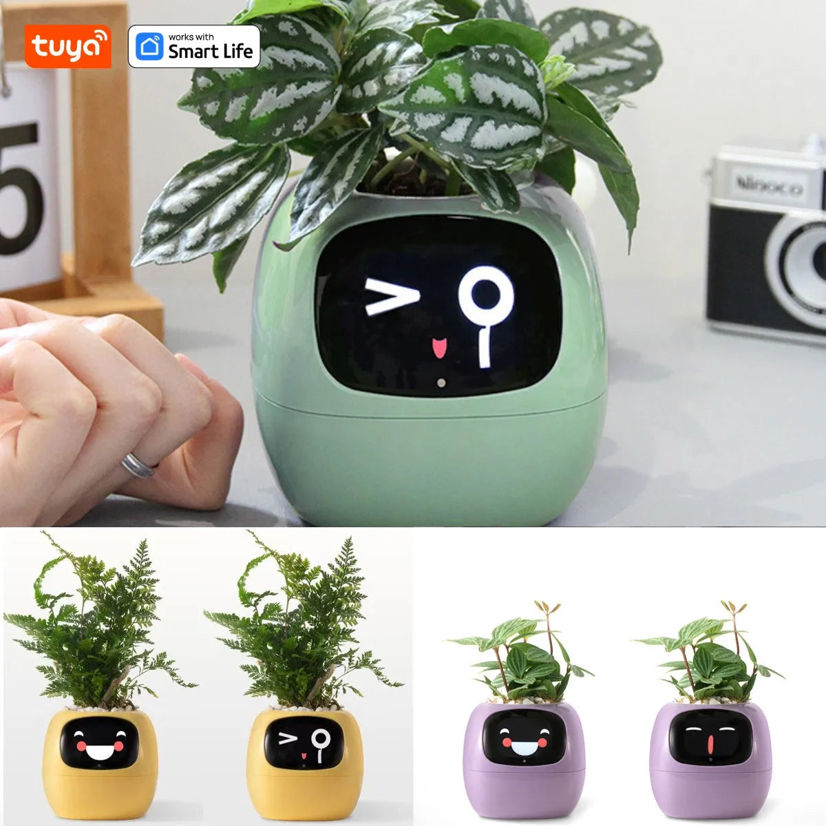 kuya Ivy Smart Planter,Endless Fun Over 49 Rich Expressions,7 smart sensors
